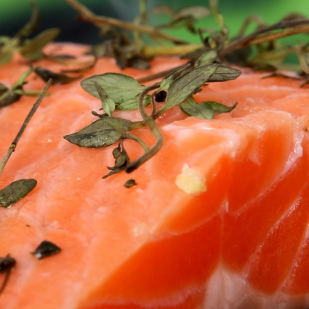 Ristorant Roma Faaborg