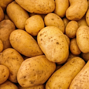 Ristorant Roma Faaborg